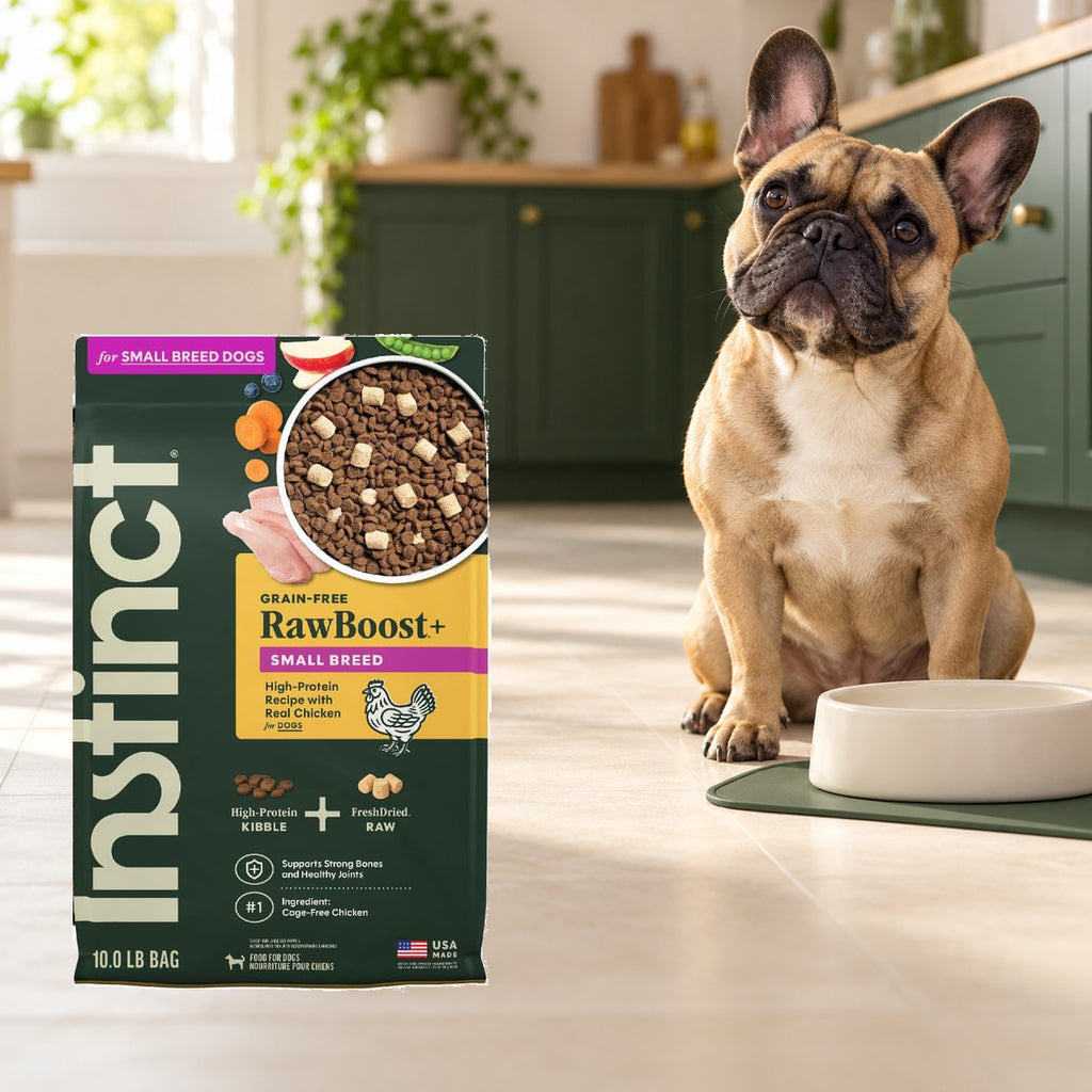 Instinct RawBoost Small Breed Chicken Dog Food – 10 lb — packaging in a cream and forest-green mealtime scene