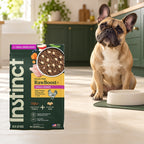 Instinct RawBoost Small Breed Chicken Dog Food – 10 lb — packaging in a cream and forest-green mealtime scene