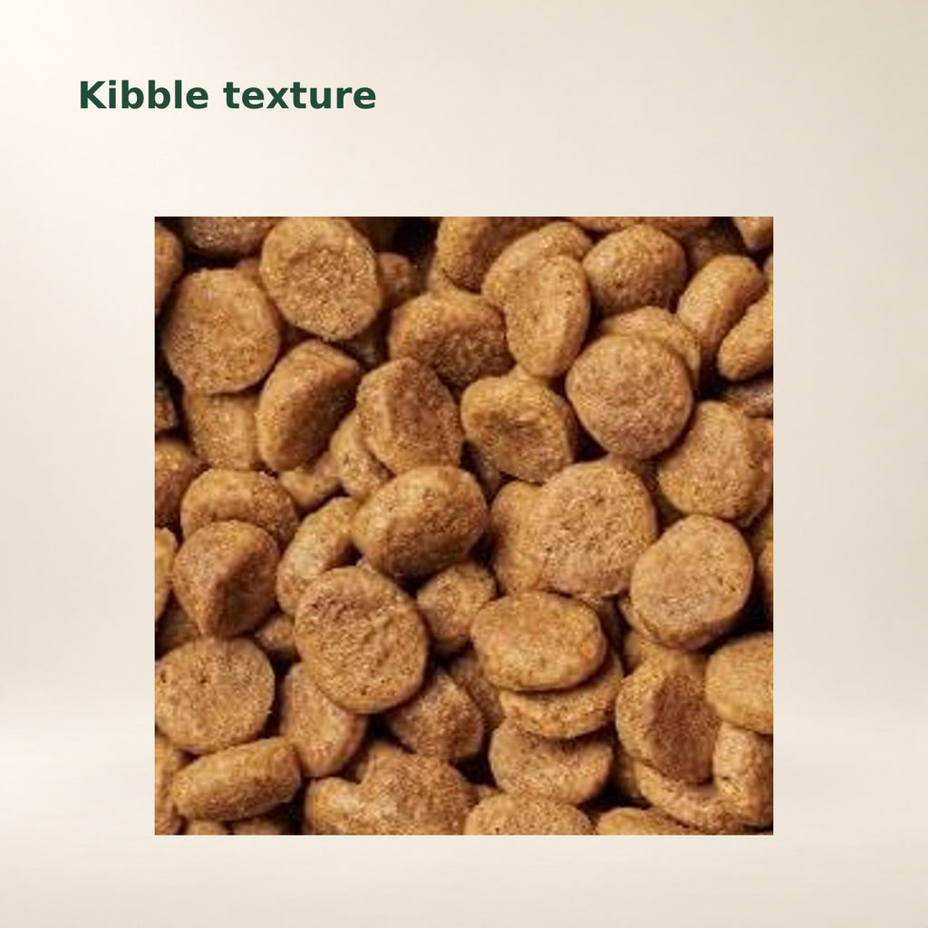 Instinct Ultimate Protein Chicken Dry Cat Food – 10 lb — food texture from the manufacturer photograph