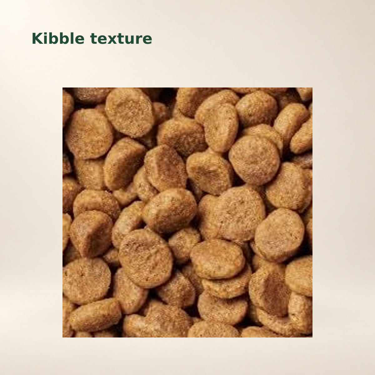Instinct Ultimate Protein Chicken Dry Cat Food – 10 lb — food texture from the manufacturer photograph
